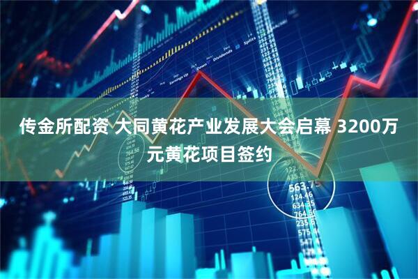 传金所配资 大同黄花产业发展大会启幕 3200万元黄花项目签约
