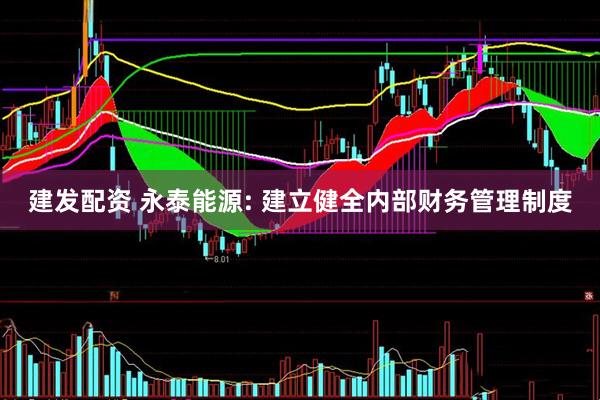 建发配资 永泰能源: 建立健全内部财务管理制度
