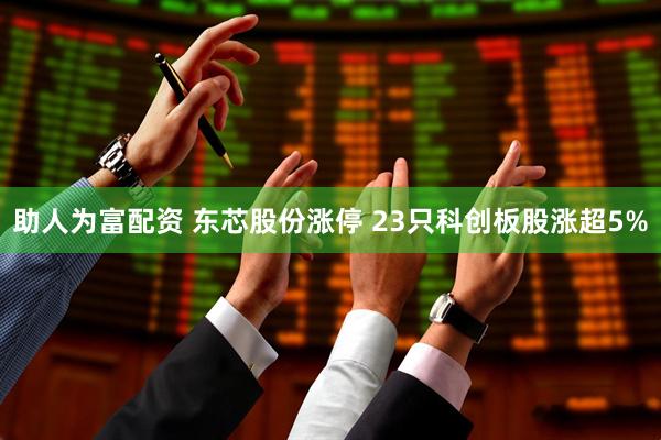 助人为富配资 东芯股份涨停 23只科创板股涨超5%