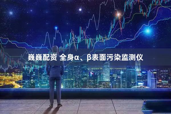 巍巍配资 全身α、β表面污染监测仪