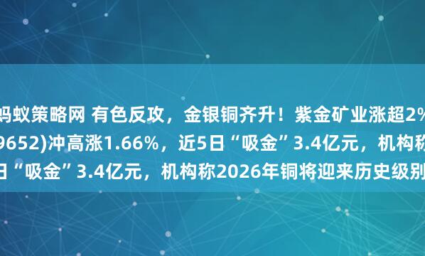蚂蚁策略网 有色反攻，金银铜齐升！紫金矿业涨超2%，有色50ETF(159652)冲高涨1.66%，近5日“吸金”3.4亿元，机构称2026年铜将迎来历史级别上涨