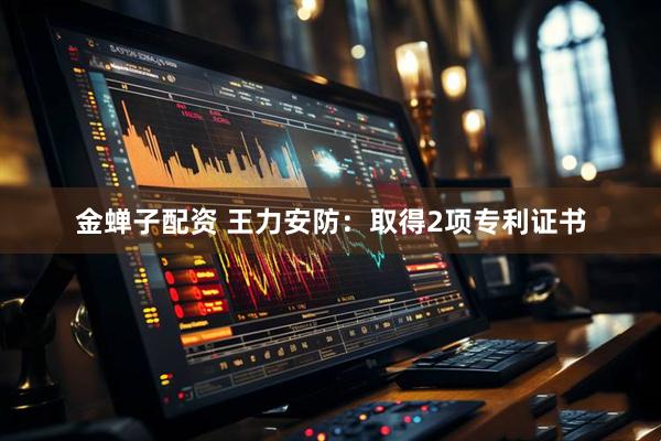 金蝉子配资 王力安防：取得2项专利证书